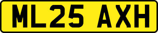 ML25AXH