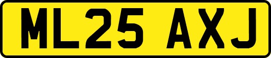 ML25AXJ
