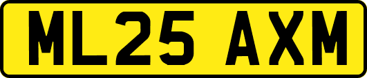 ML25AXM
