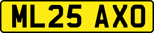ML25AXO
