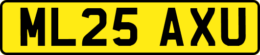 ML25AXU