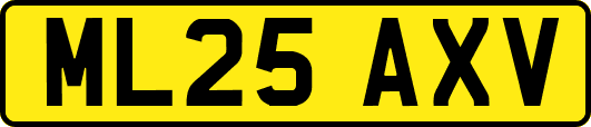 ML25AXV