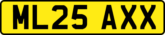 ML25AXX