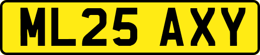 ML25AXY