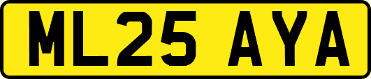 ML25AYA