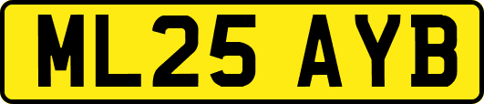 ML25AYB