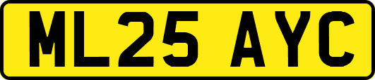 ML25AYC