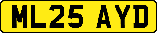 ML25AYD