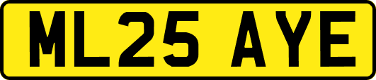 ML25AYE