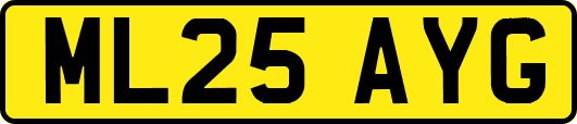 ML25AYG