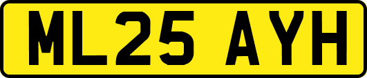ML25AYH