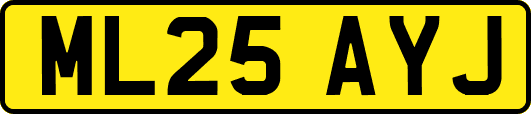 ML25AYJ