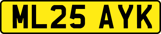 ML25AYK