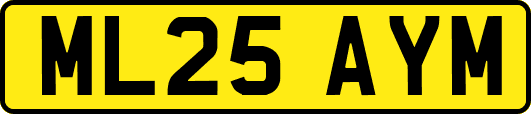 ML25AYM