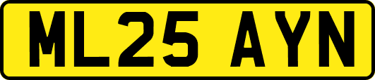 ML25AYN