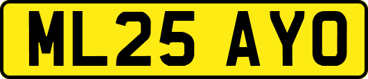 ML25AYO