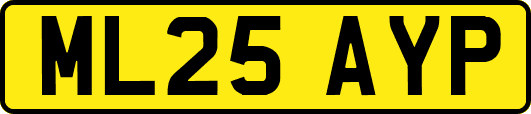 ML25AYP