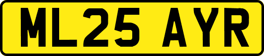 ML25AYR
