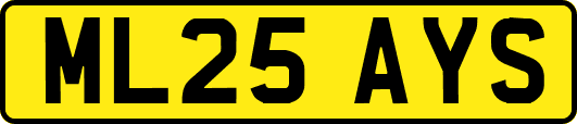ML25AYS