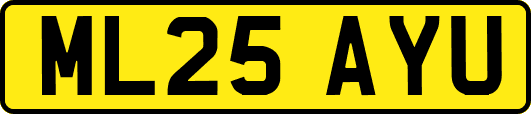 ML25AYU
