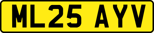 ML25AYV