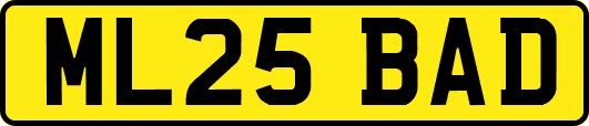 ML25BAD