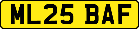 ML25BAF