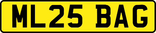 ML25BAG