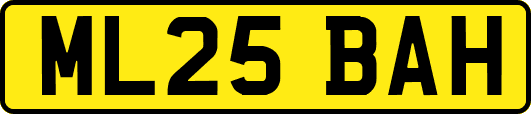 ML25BAH