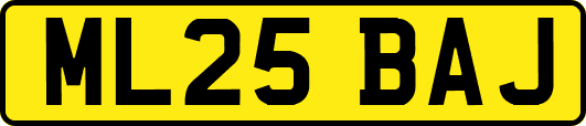 ML25BAJ
