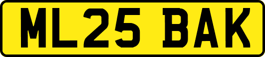 ML25BAK
