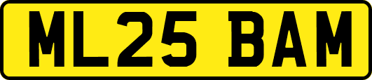 ML25BAM