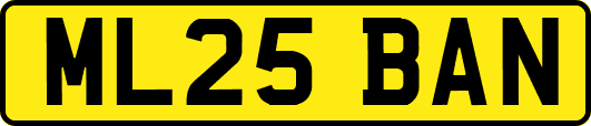 ML25BAN