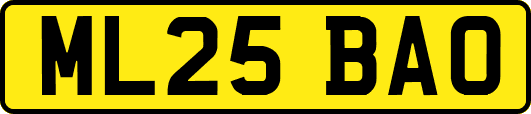 ML25BAO