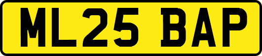 ML25BAP
