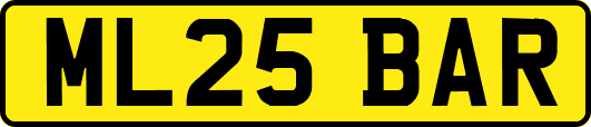 ML25BAR