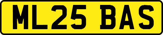 ML25BAS