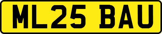 ML25BAU