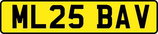 ML25BAV