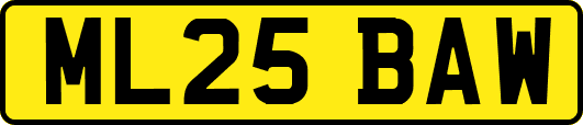 ML25BAW