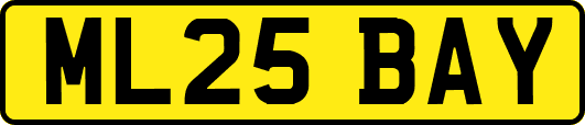 ML25BAY