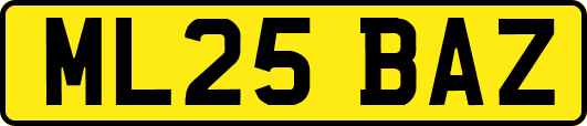 ML25BAZ