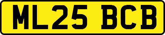 ML25BCB
