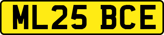 ML25BCE