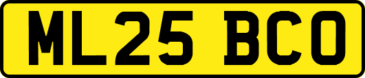ML25BCO
