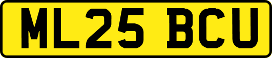 ML25BCU