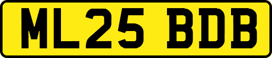 ML25BDB