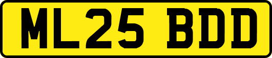 ML25BDD