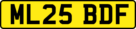 ML25BDF