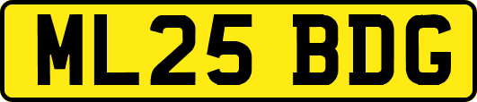 ML25BDG